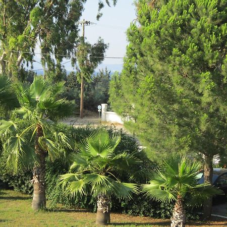 Apartments Seagull Agios Fokas  Luaran gambar